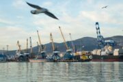 Суд оштрафовал российский порт на 44,5 млн рублей за ущерб Чёрному морю 