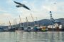 Суд оштрафовал российский порт на 44,5 млн рублей за ущерб Чёрному морю 