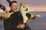 Илон Маск призвал DOGE-китов продать свои криптовалюты
