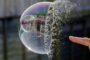 Bank of America: 81% фондовых управляющих ассоциируют биткоин с пузырем
