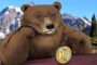 Как себя вести на медвежьем рынке биткоина?