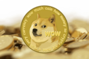 Что думают эксперты по поводу возрождения Dogecoin Foundation?