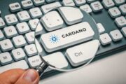Стала известна дата хардфорка Alonzo в сети Cardano