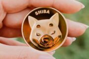 Shiba Inu растеряла 90% своей популярности