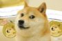 Сооснователь Dogecoin: DOGE не является мемным токеном