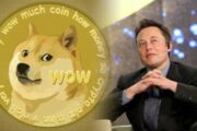 Курс Dogecoin идёт вверх на новостях об инвестициях Илона Маска в Twitter