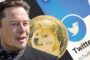 Совладелец Twitter Илон Маск предложил добавить DOGE в качестве оплаты премиум-подписки Twitter Blue